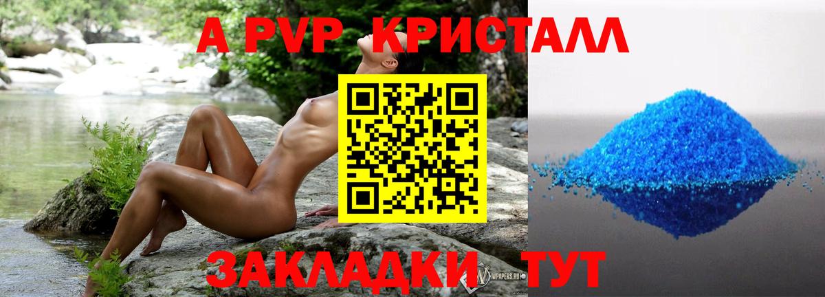 А ПВП СК КРИС Новозыбков