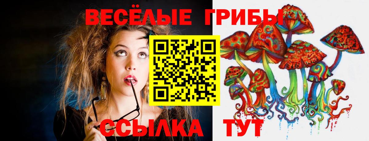 Псилоцибиновые грибы Magic Shrooms Новозыбков